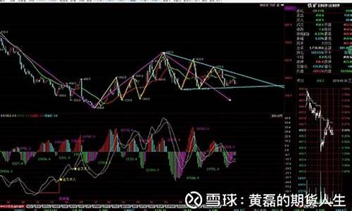 铁矿石行情分析直播间(铁矿石期货今日行情论坛)_https://www.cnlz365.com_股指期货直播间_第2张