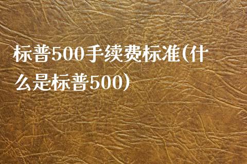 标普500手续费标准(什么是标普500)_https://www.cnlz365.com_股指期货直播间_第1张