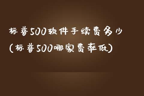 标普500软件手续费多少(标普500哪家费率低)_https://www.cnlz365.com_股指期货直播间_第1张