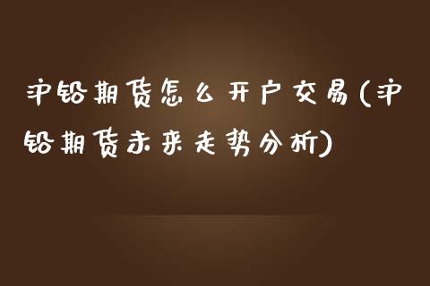 沪铅期货怎么开户交易(沪铅期货未来走势分析)_https://www.cnlz365.com_期货直播间_第1张