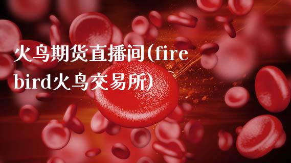 火鸟期货直播间(firebird火鸟交易所)_https://www.cnlz365.com_原油直播间_第1张