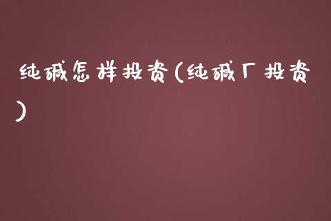 纯碱怎样投资(纯碱厂投资)_https://www.cnlz365.com_纳指直播间_第1张