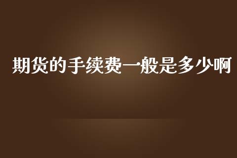 期货的手续费一般是多少啊_https://www.cnlz365.com_股指期货直播间_第1张