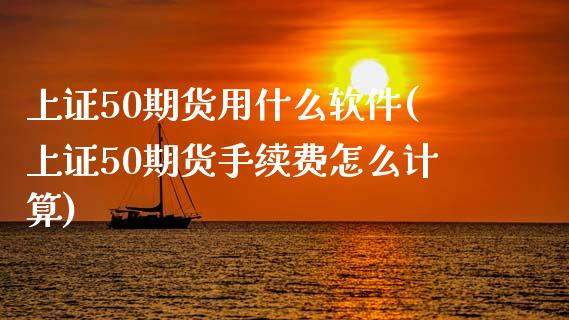 上证50期货用什么软件(上证50期货手续费怎么计算)_https://www.cnlz365.com_纳指直播间_第1张