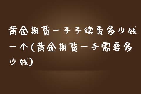 黄金期货一手手续费多少钱一个(黄金期货一手需要多少钱)_https://www.cnlz365.com_德指直播间_第1张