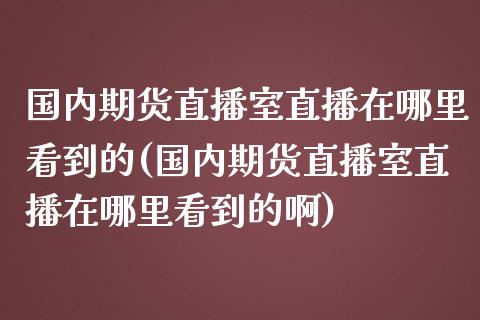 国内期货直播室直播在哪里看到的(国内期货直播室直播在哪里看到的啊)_https://www.cnlz365.com_股指期货直播间_第1张