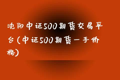 沈阳中证500期货交易平台(中证500期货一手价格)_https://www.cnlz365.com_黄金直播间_第1张