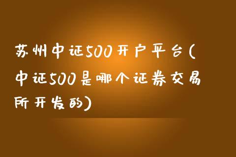 苏州中证500开户平台(中证500是哪个证券交易所开发的)_https://www.cnlz365.com_股指期货直播间_第1张