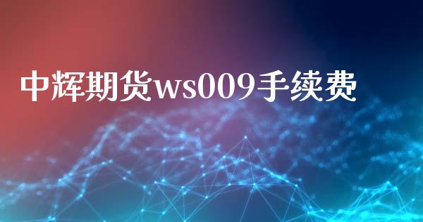 中辉期货ws009手续费_https://www.cnlz365.com_股指期货直播间_第1张