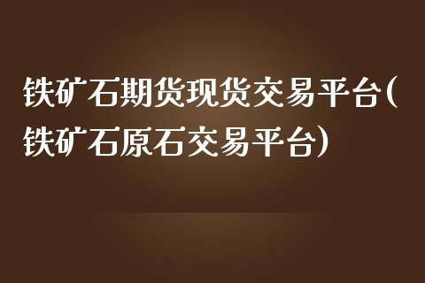 铁矿石期货现货交易平台(铁矿石原石交易平台)_https://www.cnlz365.com_股指期货直播间_第1张