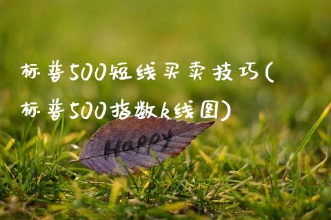 标普500短线买卖技巧(标普500指数k线图)_https://www.cnlz365.com_德指直播间_第1张