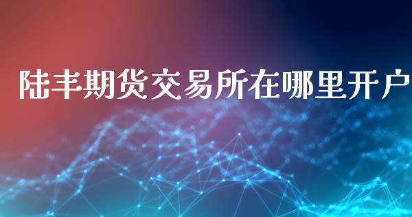 陆丰期货交易所在哪里开户_https://www.cnlz365.com_黄金直播间_第1张