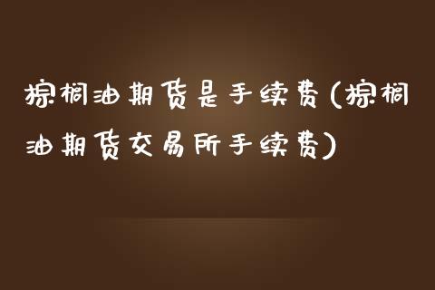 棕榈油期货是手续费(棕榈油期货交易所手续费)_https://www.cnlz365.com_纳指直播间_第1张