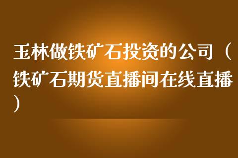 玉林做铁矿石投资的公司（铁矿石期货直播间在线直播）_https://www.cnlz365.com_黄金直播间_第1张