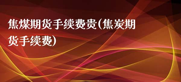 焦煤期货手续费贵(焦炭期货手续费)_https://www.cnlz365.com_原油直播间_第1张