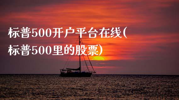 标普500开户平台在线(标普500里的股票)_https://www.cnlz365.com_德指直播间_第1张