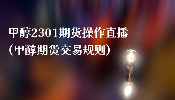 甲醇2301期货操作直播(甲醇期货交易规则)_https://www.cnlz365.com_原油直播间_第1张